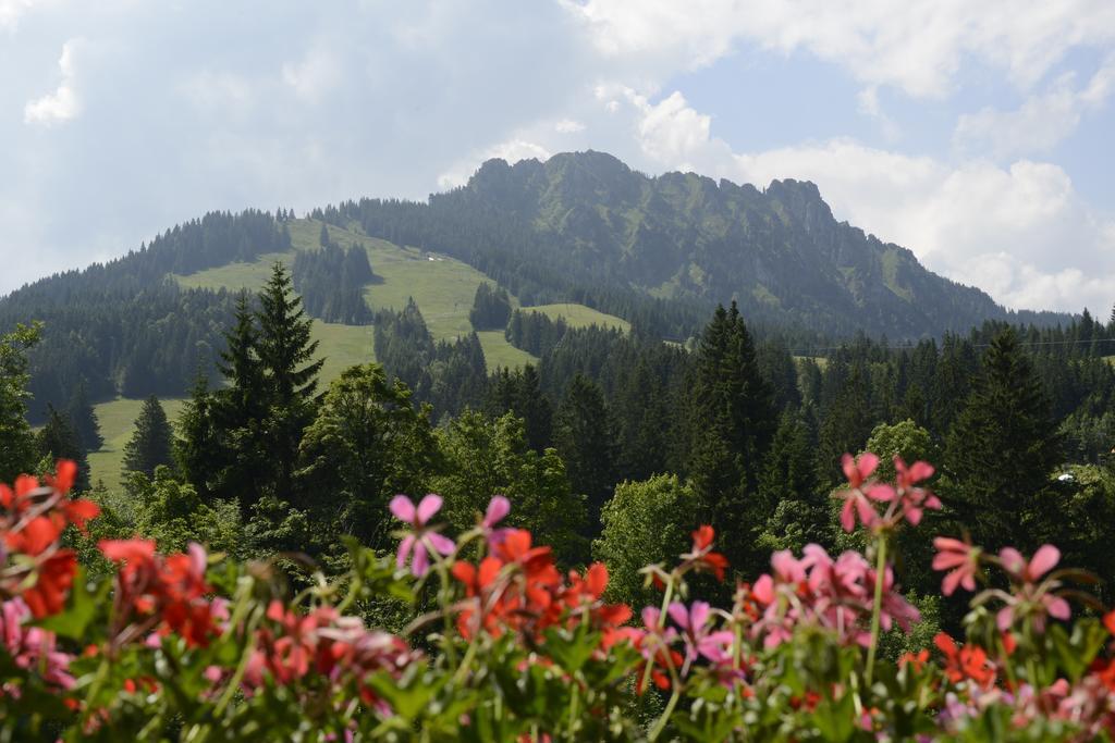 Apartament Alpinrefugium Haus Am Anger Jungholz Pokój zdjęcie