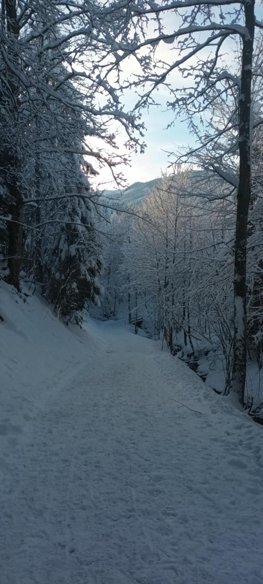 Apartament Alpinrefugium Haus Am Anger Jungholz Zewnętrze zdjęcie